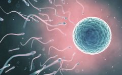 试管婴儿助孕性别筛选里程碑