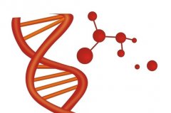 性别筛选定制试管婴儿可达到优孕效果
