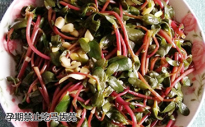 孕期禁止吃马齿苋